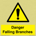 danger-falling-branches~